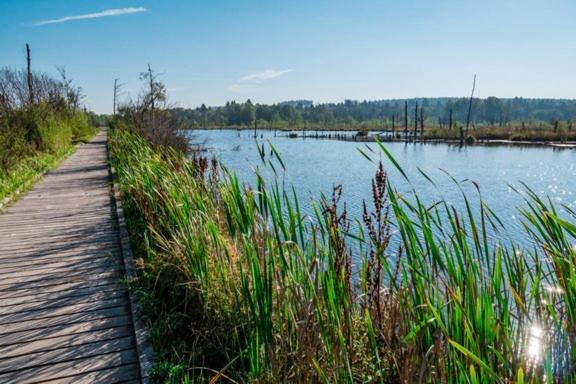 My Home N 35 Філлінген-Швеннінген Екстер'єр фото